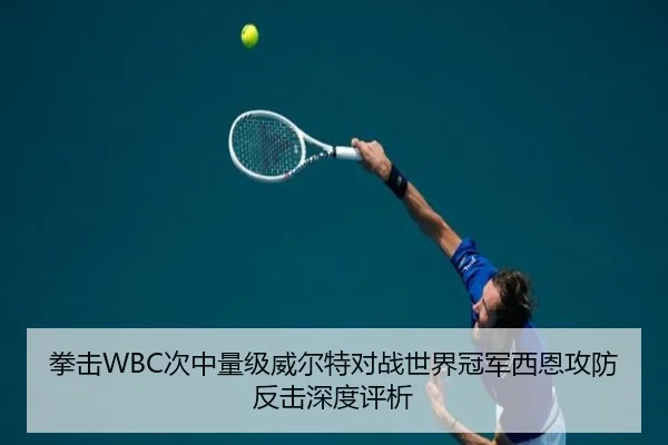 拳击WBC次中量级威尔特对战世界冠军西恩攻防反击深度评析（WorldCupChina）